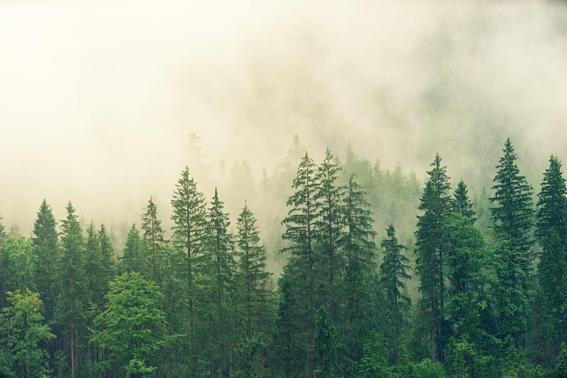 Nature Retreat