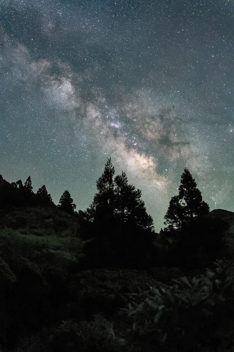 Starry night sky